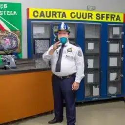 Previsão do Bitcoin: Analista Alerta que Otimismo no 4º Trimestre Desconsidera Dados Reais