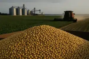 Grãos de soja, lavoura e terminal de exportação em imagem editorial sobre recorde de embarques e pressão na receita externa.